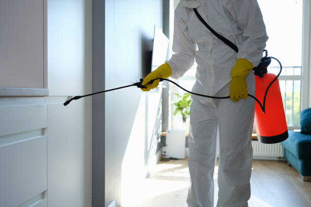 Best Fumigation Services  in Olney, IL